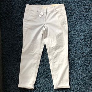 Loft angle pant